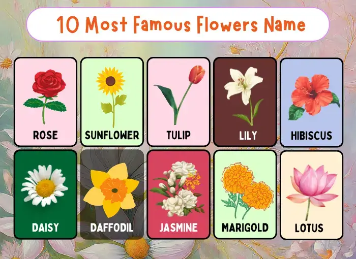 10 Common Flowers Name in English