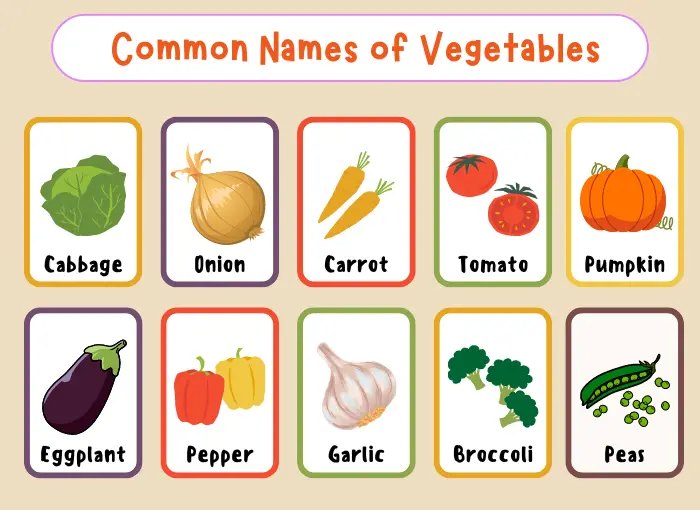 Top 10 Vegetables Name in English