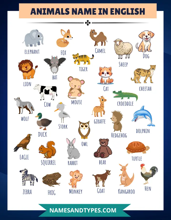 Animals Name in English