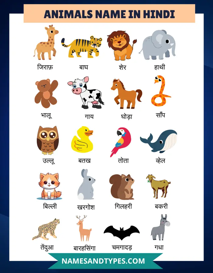 Animals Name in Hindi