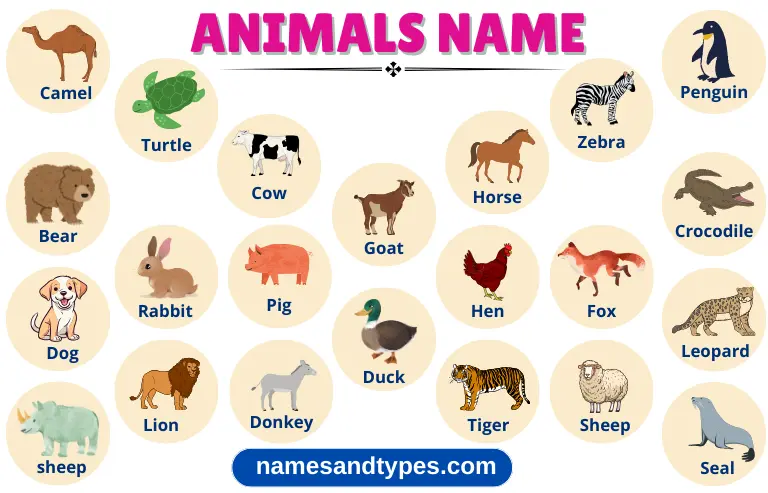 Animals Name